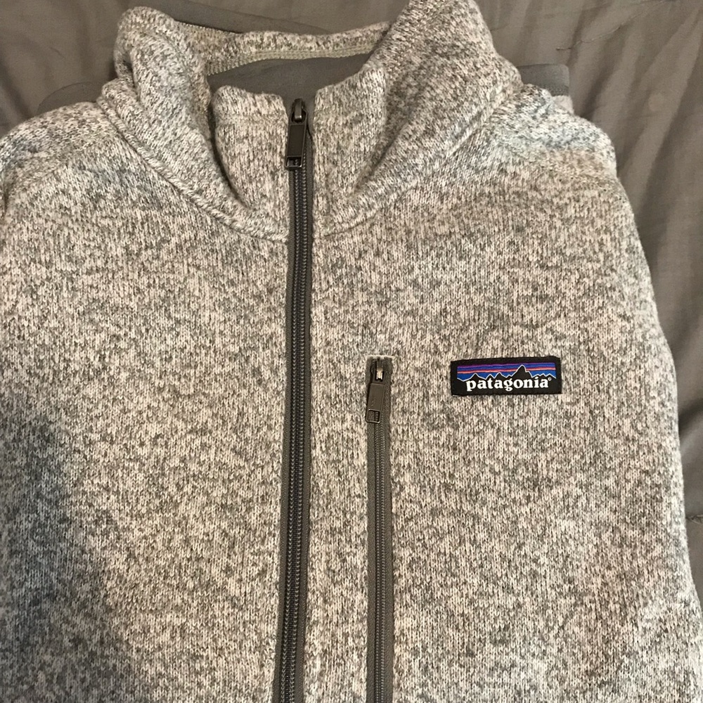 Large silver Patagonia sweatshirt
